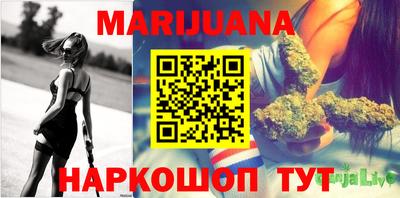 индика Гусиноозёрск