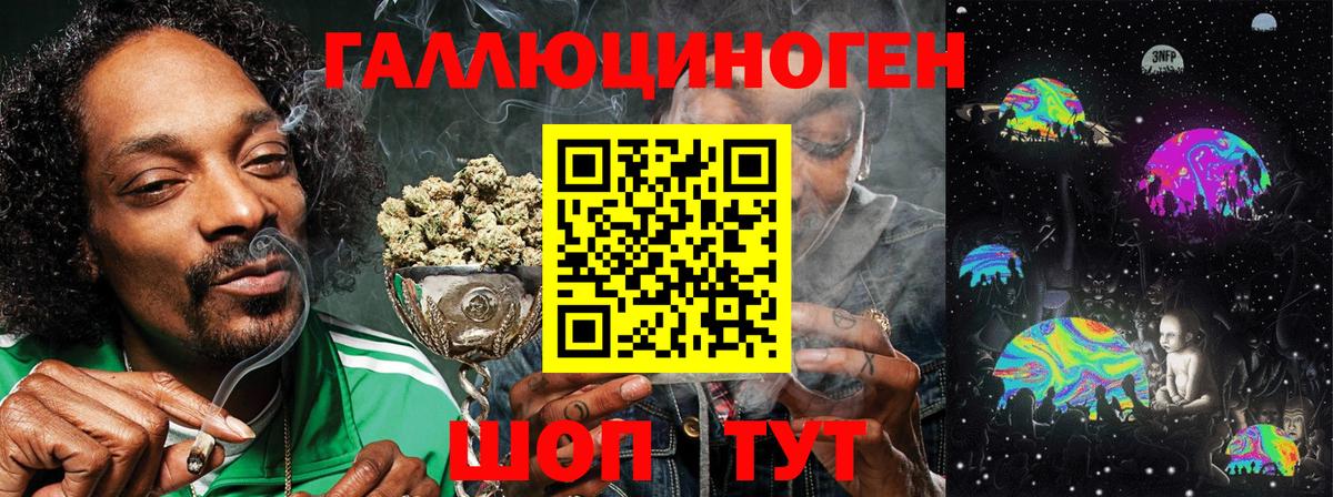 Галлюциногенные грибы Psilocybe  Вход с VPN  Малгобек 
