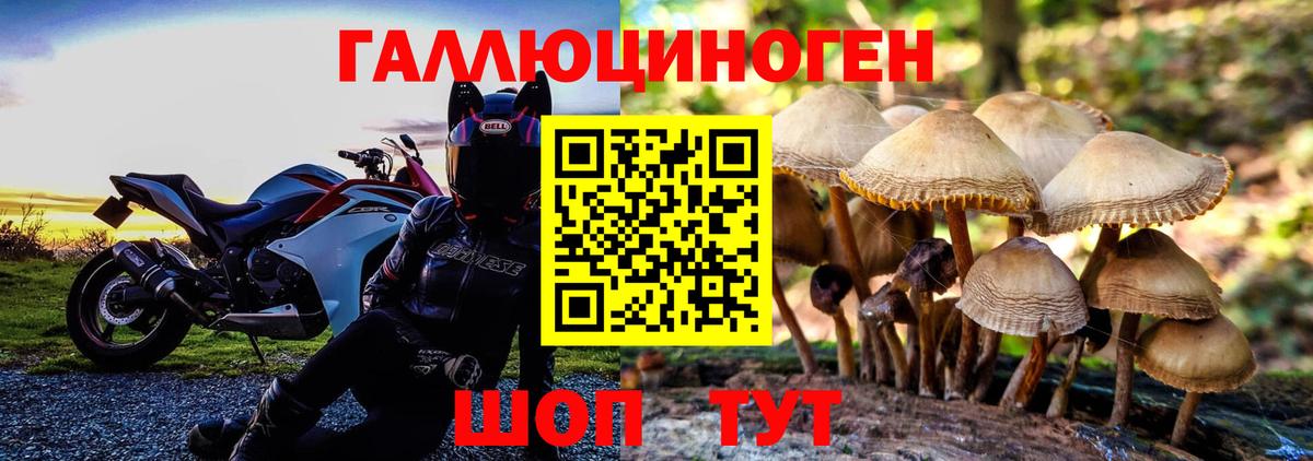 Псилоцибиновые грибы мухоморы Малгобек